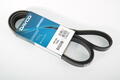Alfa Romeo Auxiliary Belt. Part Number 50534146