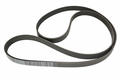 Alfa Romeo Auxiliary Belt. Part Number 50534146