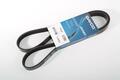 Alfa Romeo Auxiliary Belt. Part Number 51824327