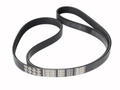 Alfa Romeo Auxiliary Belt. Part Number 51824327