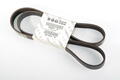 Alfa Romeo Auxiliary Belt. Part Number 55185077