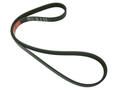 Alfa Romeo Auxiliary Belt. Part Number 55188139