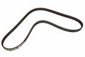 Alfa Romeo Auxiliary Belt. Part Number 55188139