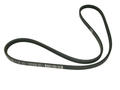 Alfa Romeo Brera Spider Auxiliary Belt. Part Number 55188140