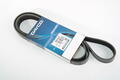 Alfa Romeo Auxiliary Belt. Part Number 55189677