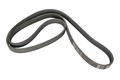 Alfa Romeo Auxiliary Belt. Part Number 55193360