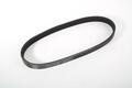 Alfa Romeo Auxiliary Belt. Part Number 55193361