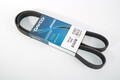 Alfa Romeo Auxiliary Belt. Part Number 55194731