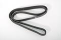 Alfa Romeo Auxiliary Belt. Part Number 55201363