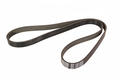 Alfa Romeo Auxiliary Belt. Part Number 55202621