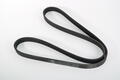 Alfa Romeo Auxiliary Belt. Part Number 55203815