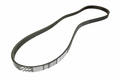 Alfa Romeo Auxiliary Belt. Part Number 55230394