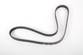 Alfa Romeo Auxiliary Belt. Part Number 55232450