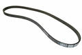 Alfa Romeo Auxiliary Belt. Part Number 55240004