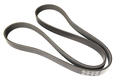 Alfa Romeo Auxiliary Belt. Part Number 55245963