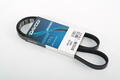 Alfa Romeo Auxiliary Belt. Part Number 55247438
