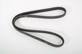 Alfa Romeo Auxiliary Belt. Part Number 55247438