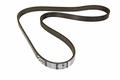 Alfa Romeo Auxiliary Belt. Part Number 55232450