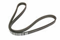 Alfa Romeo Auxiliary Belt. Part Number 55232450