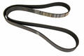 Alfa Romeo  Auxiliary Belt. Part Number 46354609