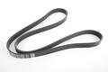 Alfa Romeo Auxiliary Belt. Part Number 46354610