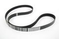 Alfa Romeo Auxiliary Belt. Part Number 46354610