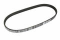 Alfa Romeo Auxiliary Belt. Part Number 55354587