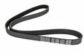 Alfa Romeo Spider Auxiliary Belt. Part Number 60596949