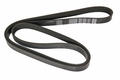 Alfa Romeo Auxiliary Belt. Part Number 60666950