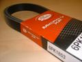 Alfa Romeo Auxiliary Belts