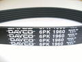 Alfa Romeo Auxiliary Belt. Part Number 71732372