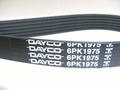 Alfa Romeo Auxiliary Belt. Part Number 71753673