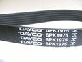 Alfa Romeo 166 Auxiliary Belt. Part Number 71753673