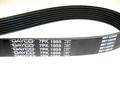 Alfa Romeo  Auxiliary Belts