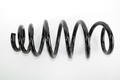 Alfa Romeo  Springs. Part Number 50515165