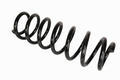 Alfa Romeo Springs. Part Number 50515193