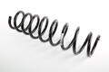 Alfa Romeo Springs. Part Number 50515229