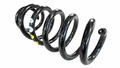 Alfa Romeo Springs. Part Number 50539302