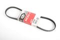 Alfa Romeo 155 Auxiliary Belt. Part Number 60543218