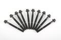 Alfa Romeo Head bolts. Part Number 7696197